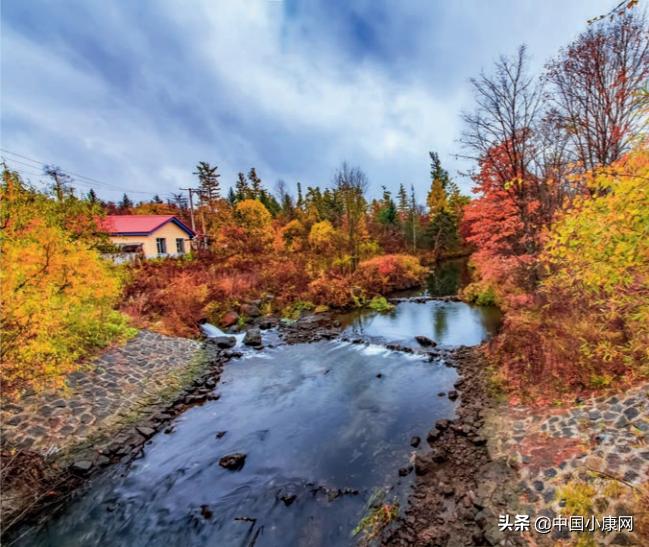 小康故事集,小康故事有哪些