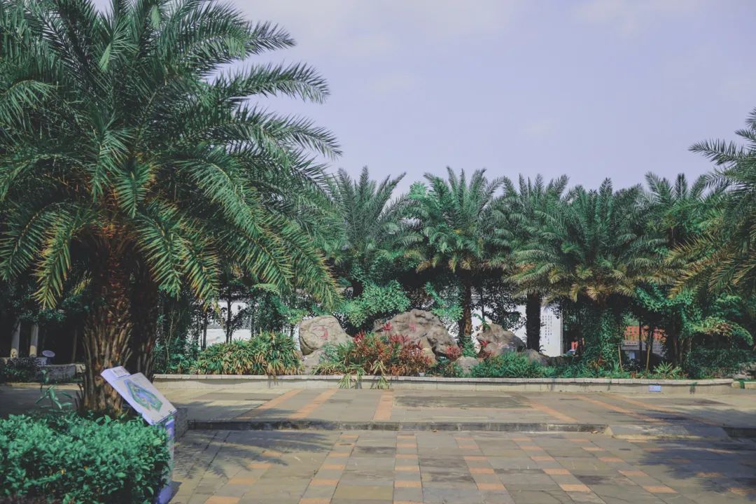 银海风景,银海美景