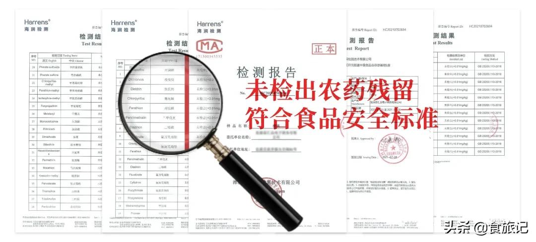 大凉山自然成熟的绿皮核桃,大凉山去青皮鲜核桃果肉饱满