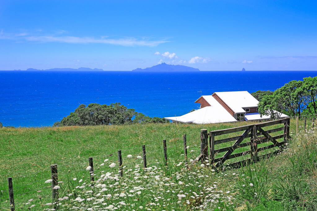 我放弃铁饭碗出国打工，男女混居、当服务员、卖花，揭秘真实收入