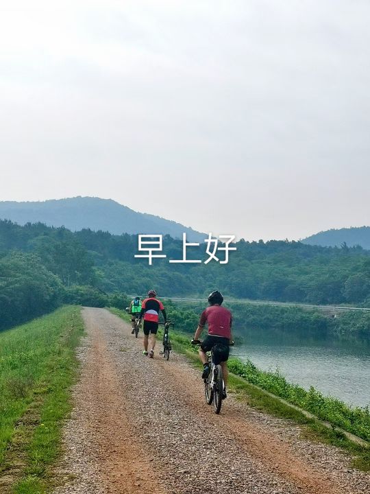 我为王霜而自豪一一灯下漫笔（26）