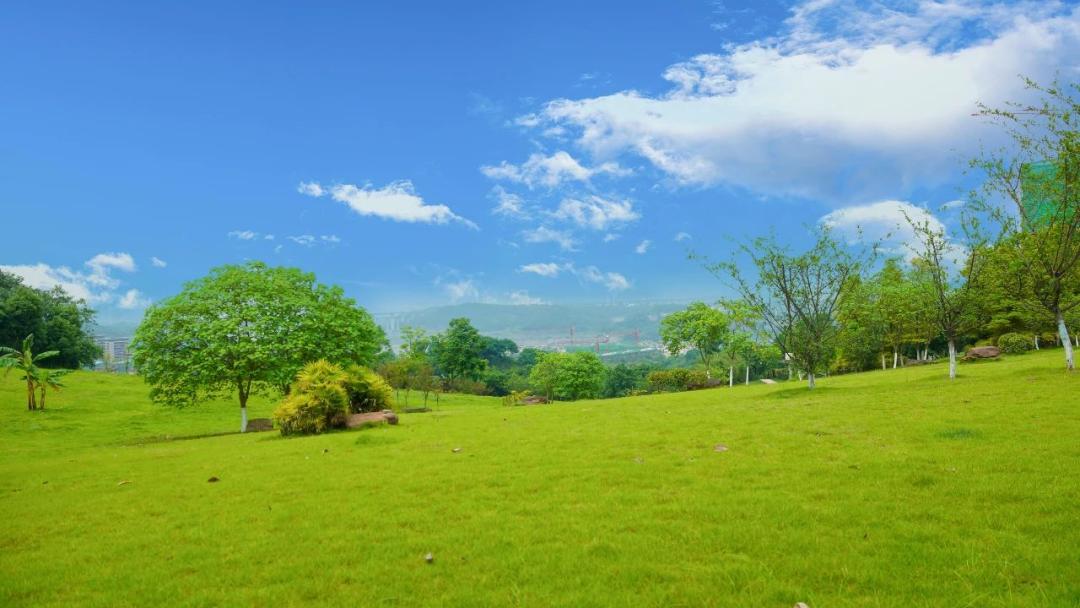 礼嘉最近的美食街,礼嘉美食网红打卡点
