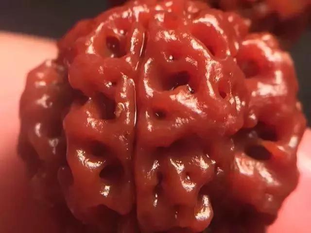 什么是金刚菩提鹰爪纹路,金刚菩提表面纹路磨损