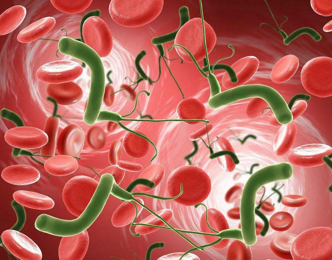 胃幽门螺旋杆菌感染是怎么回事,关于胃幽门螺旋杆菌的知识和治疗