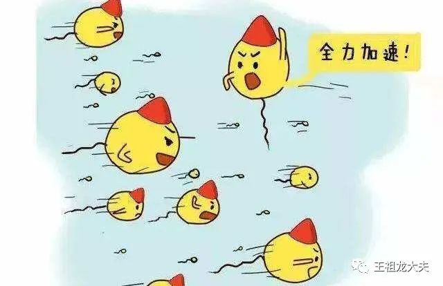 一篇文章让你秒懂精液分析报告单