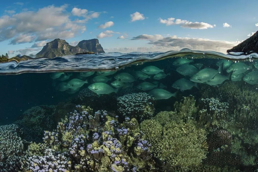 孤独星球最佳旅行城市排名,孤独星球排名第一亚洲最佳旅行地