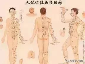 人体穴位图打通全身经络只需一穴,胃经经络穴位图口诀