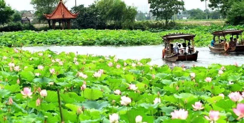 芜湖上榜中国最宜居城市,为啥芜湖现在发展得这么好