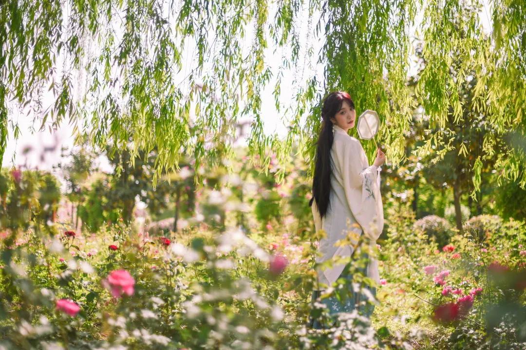 又刷屏了！高新这片花海，惊艳你的朋友圈！