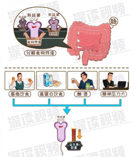 减肥运动期间为啥总是便秘,减肥期间便秘了怎么办