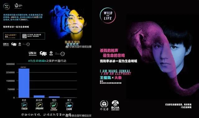 王俊凯愿你被这个世界温柔以待,王俊凯愿新年所许如期而至