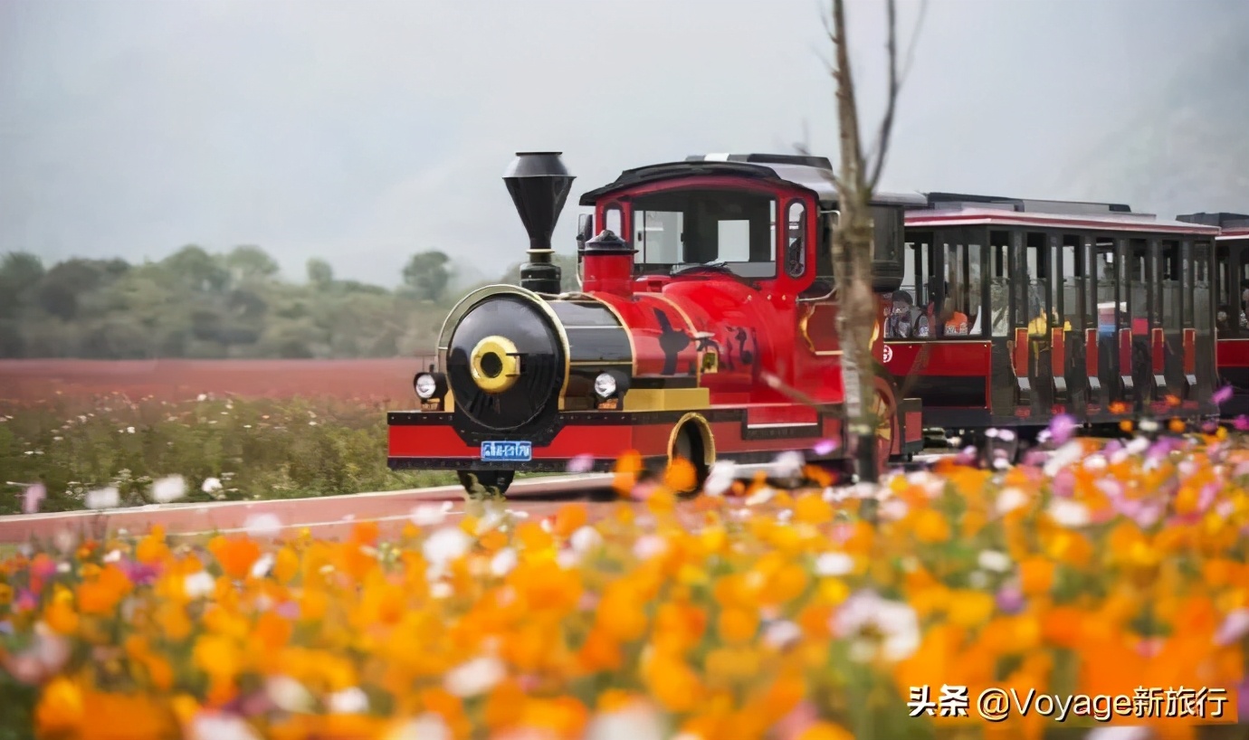 27个世界湿地日,世界湿地之都