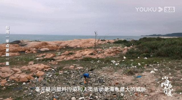 彭于晏苏有朋,彭于晏和苏有朋