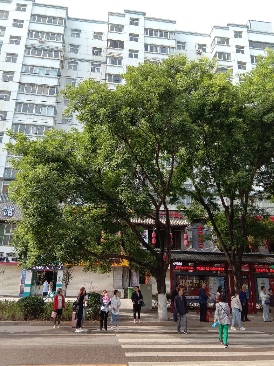 甘谷金山农民作家张志刚,甘谷徒步张志刚