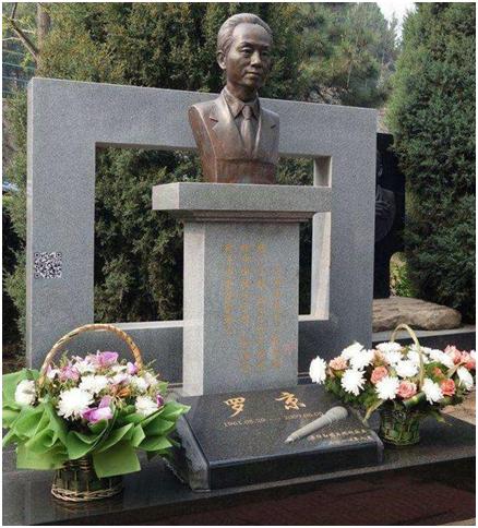 央视主持人罗京有多敬业,国脸央视主持罗京