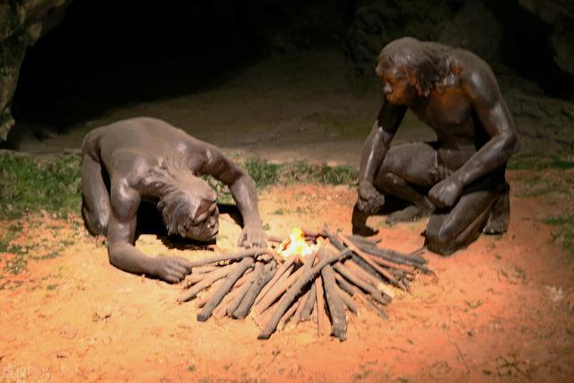 114万年前,人类全身毛发褪去,保留了头发、腋毛和阴毛,为啥?