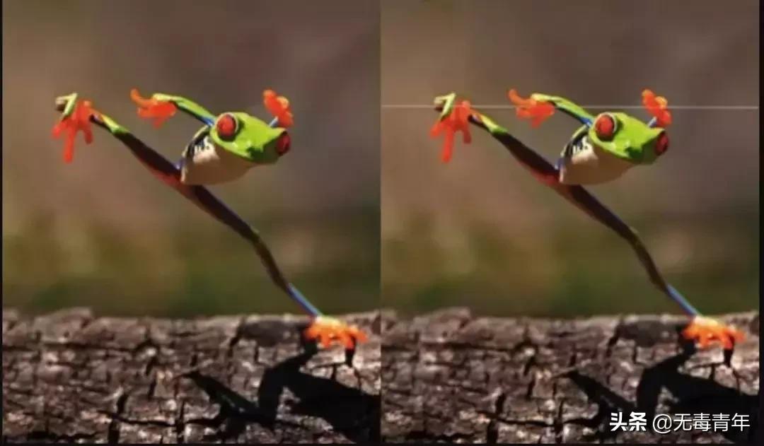 被囚34年取精，被迫亲手杀死爱子，最后只能挣扎着死去…