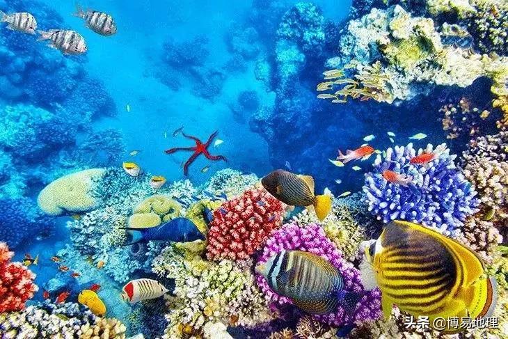 地理澳大利亚知识点总结,世界地理之澳大利亚