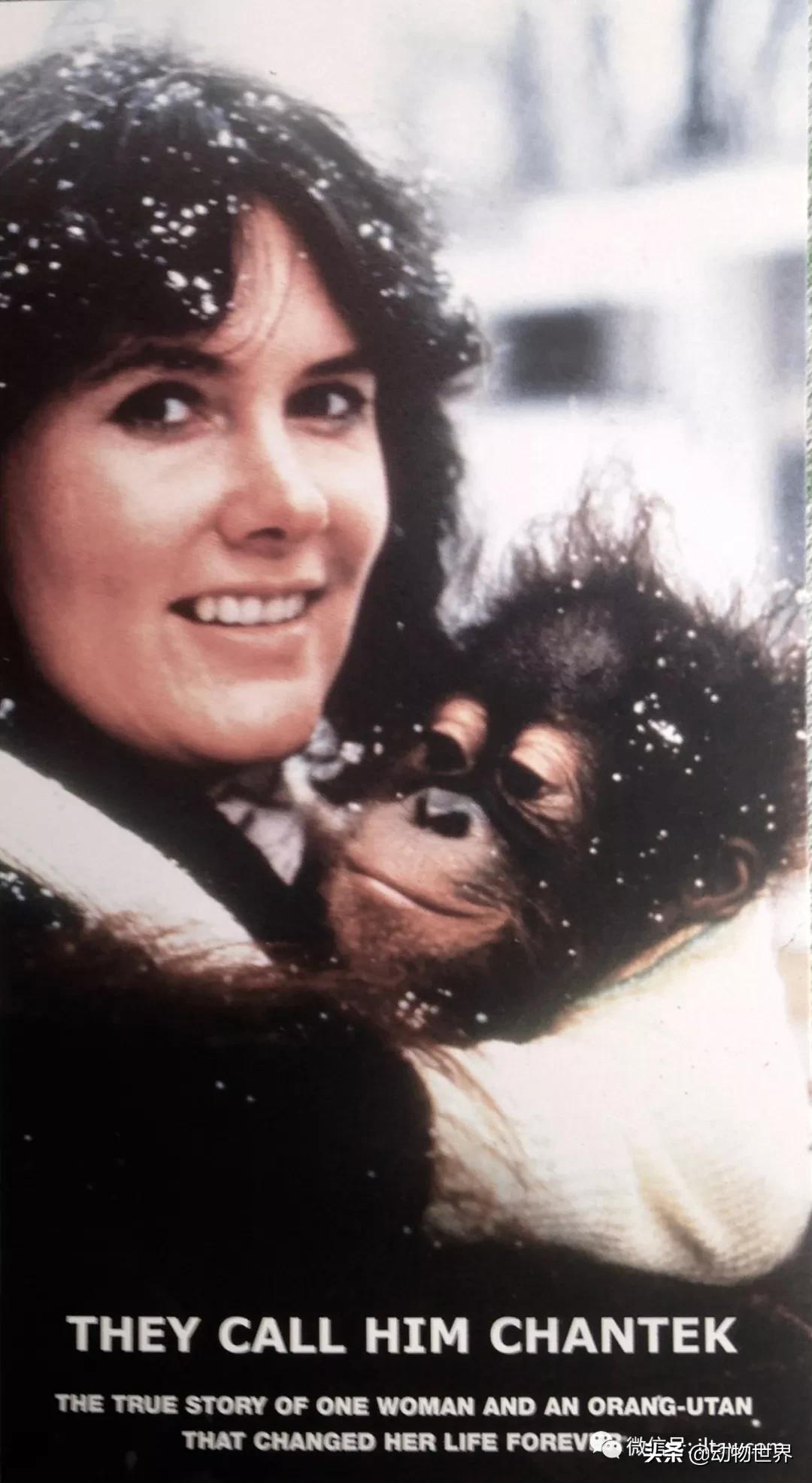 世界各国国宝级动物,世界各地的名贵动物