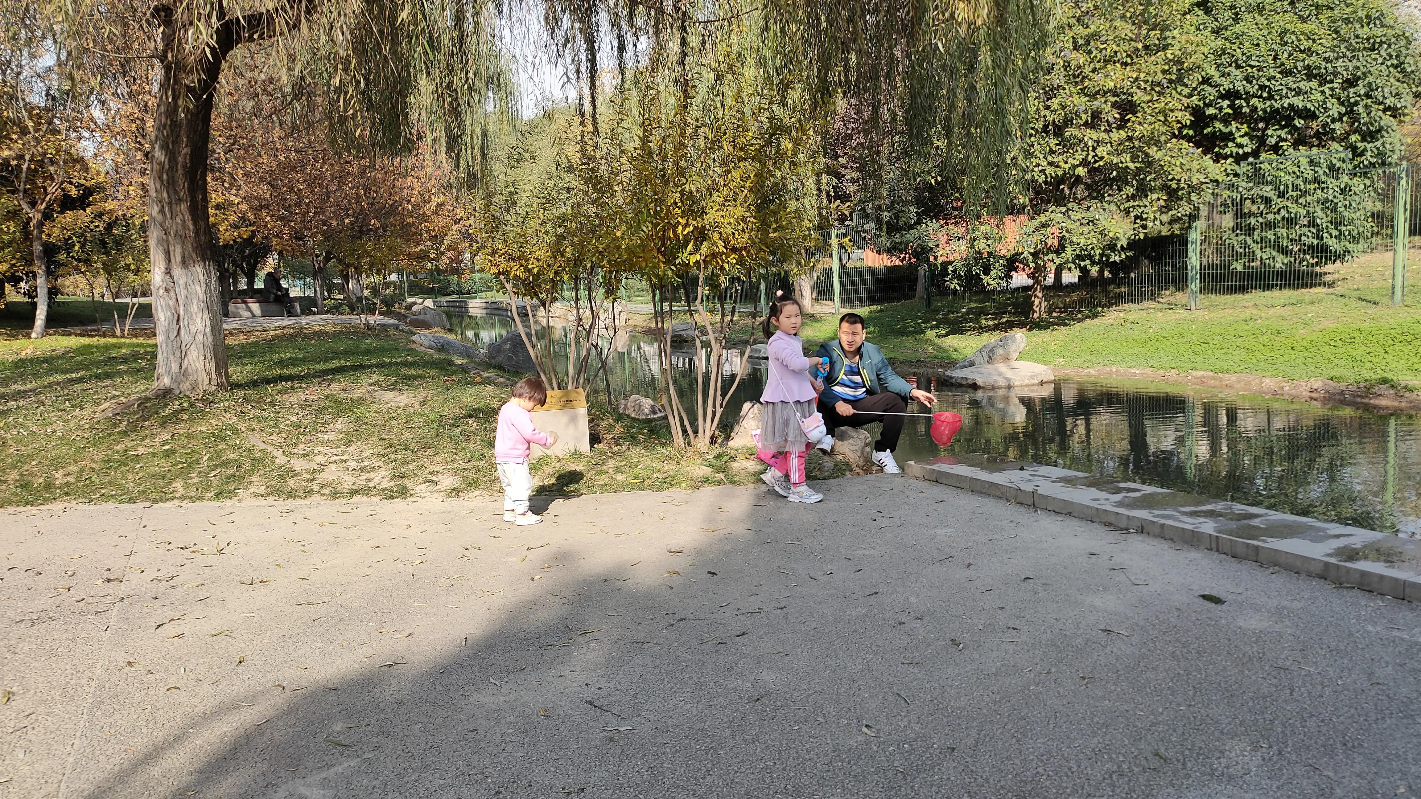 探寻西安大明宫国家遗址公园攻略,西安的大明宫遗址公园