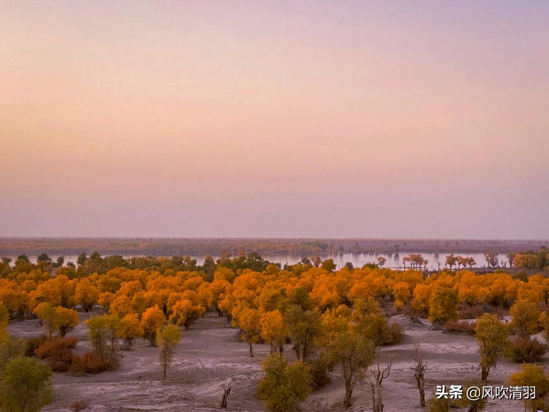 真实新疆人的生活视频,新疆人的生活好精致