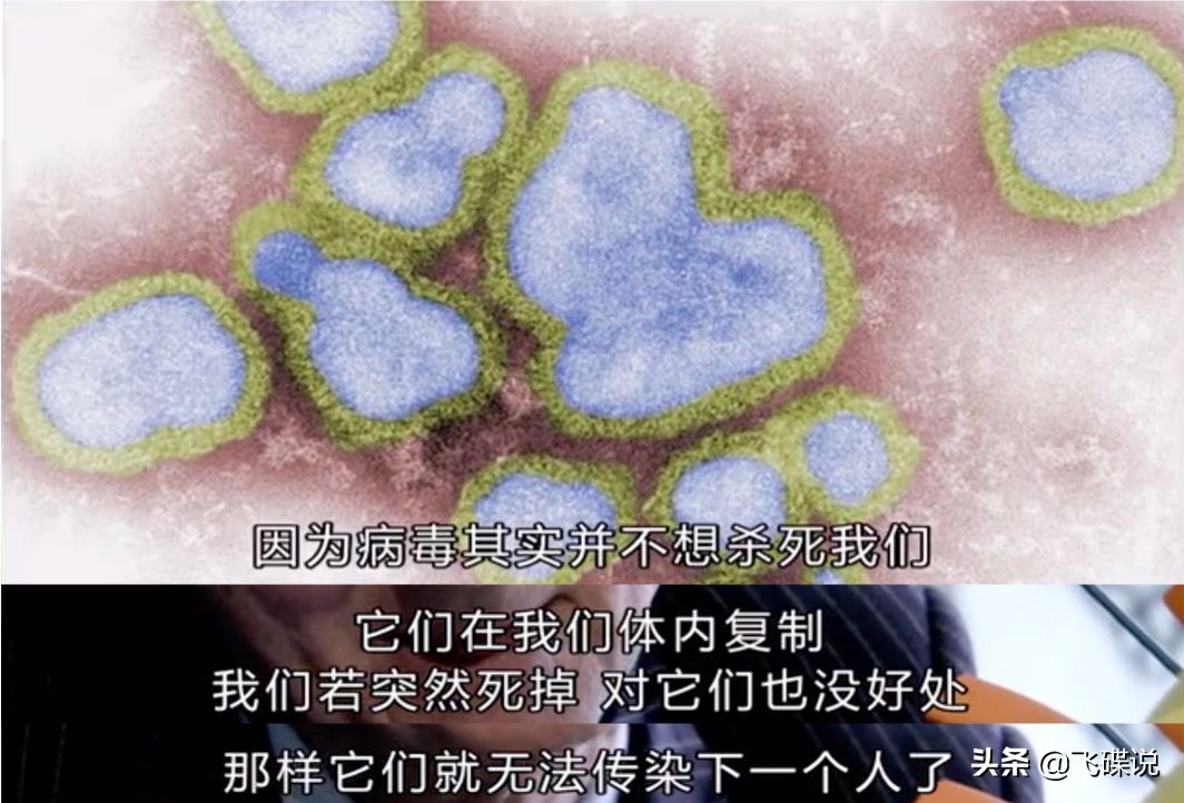 疫情期间我们如何防控病毒,病毒预防很重要防护意识要增强