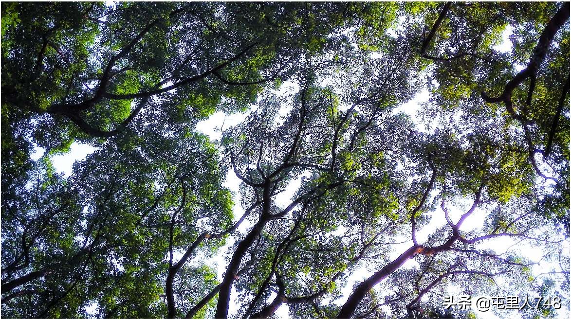 便宜小众旅游景点路线,冷门山林景点