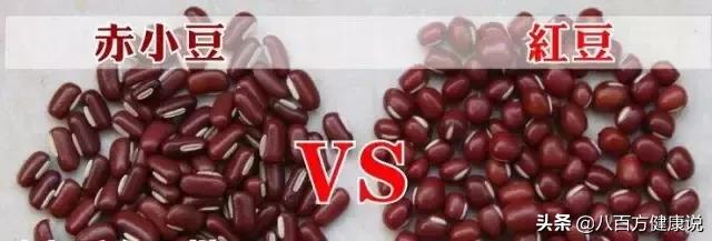 春季湿气重吃什么除湿最快,中医治湿气除湿偏方