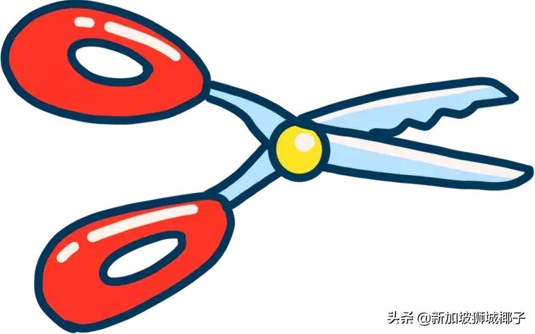 新加坡生活省钱攻略,2020新年新加坡旅游攻略