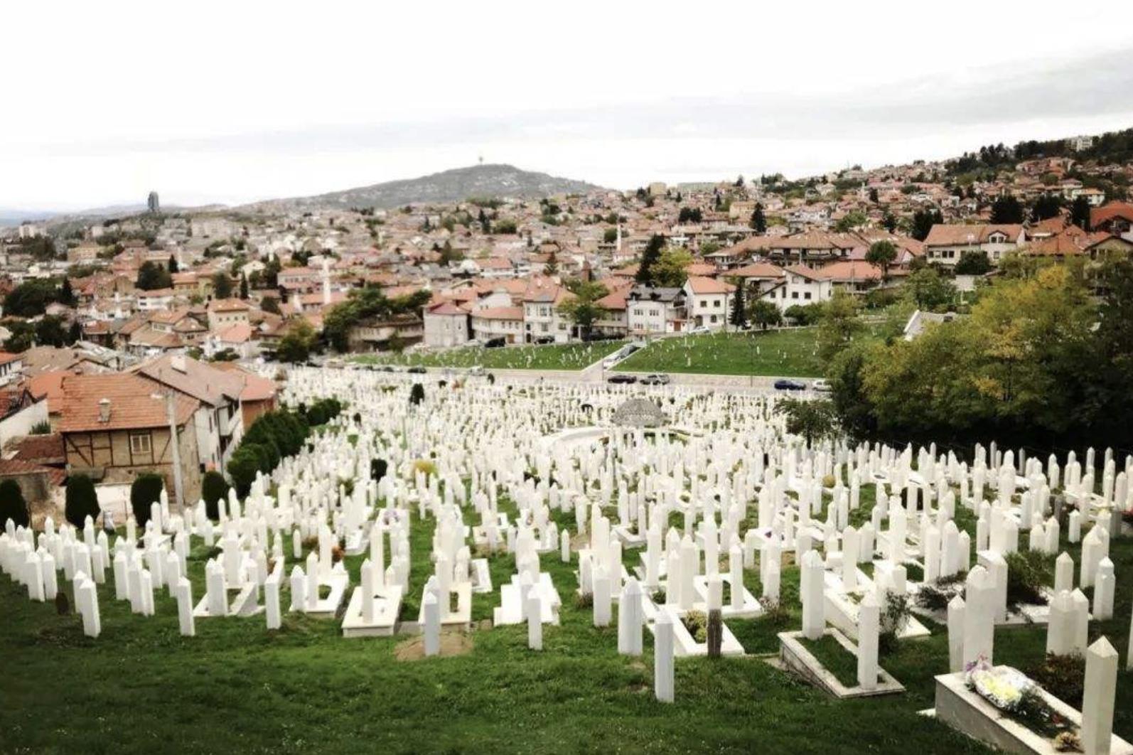 免费播放瓦尔特保卫萨拉热窝电影,老影片瓦尔特保卫萨拉热窝