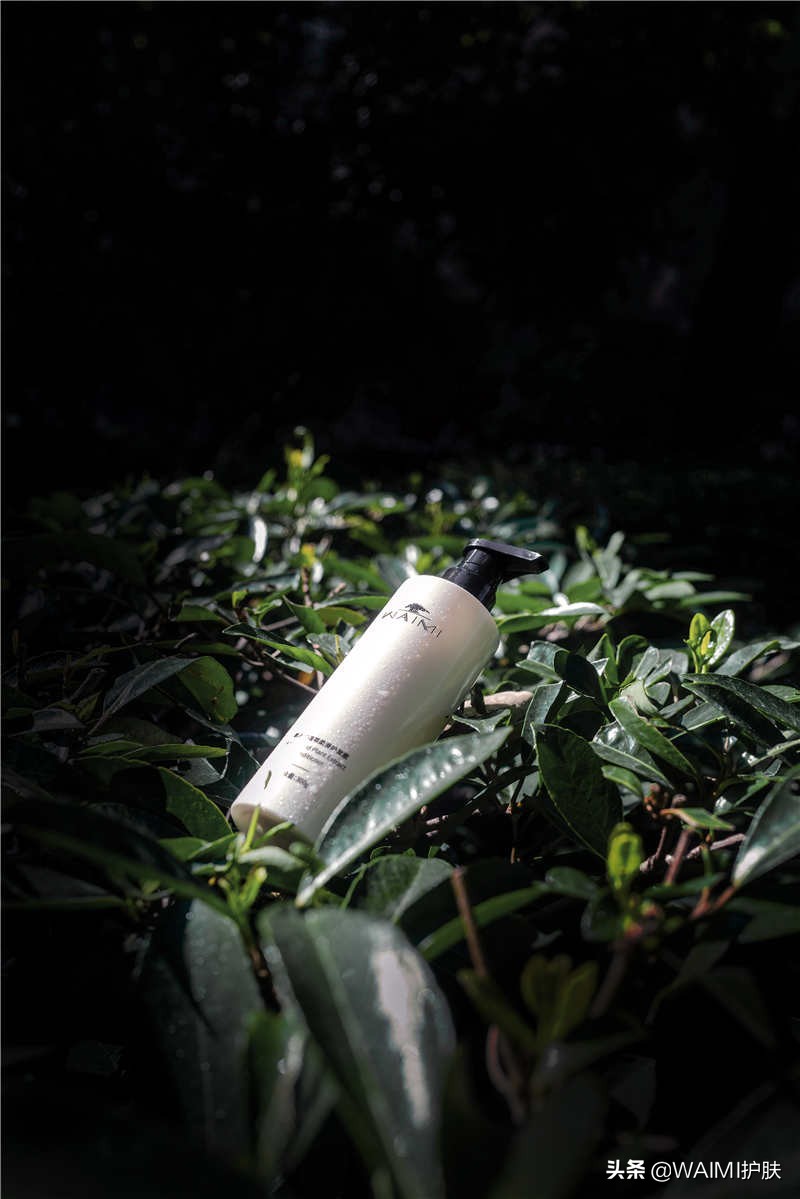 洗完头发炸毛没有护发精油怎么办,为什么洗完头发很油