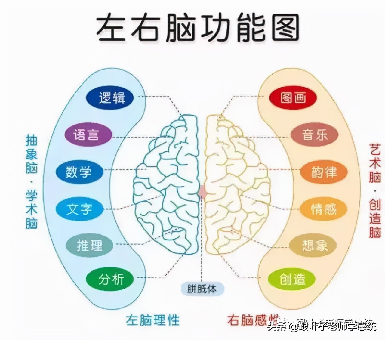 感统训练做多久才不会反弹,感统训练能否与体适能结合