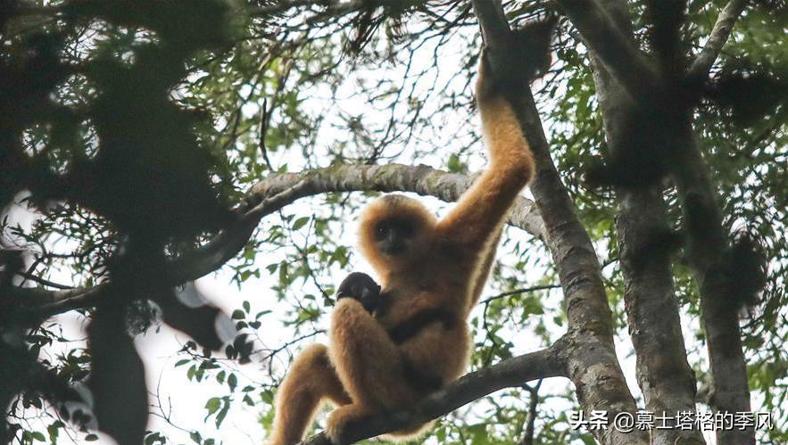 海南哪个地方适合养老价格还便宜,海南最适合的养老胜地