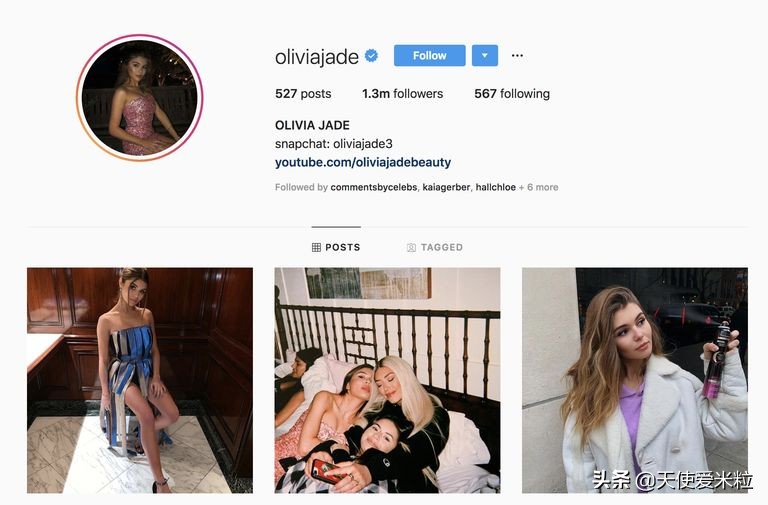 星二代花50万美元进南加大！这可能是美国史上最大规模入学*局骗**