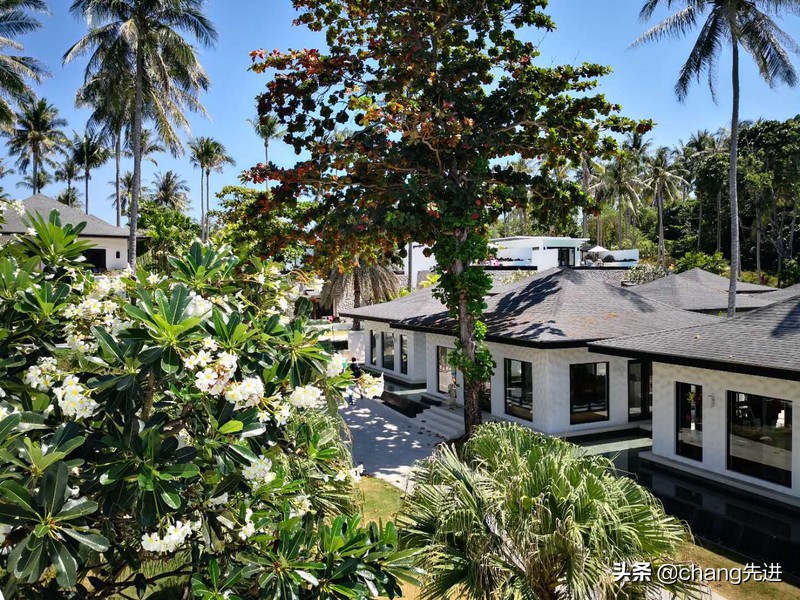 泰国普吉斯米兰跟团浮潜,泰国普吉岛自由潜水皇帝岛