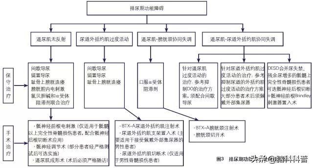 神经源性膀胱患者治愈采访,神经源性膀胱康复案例