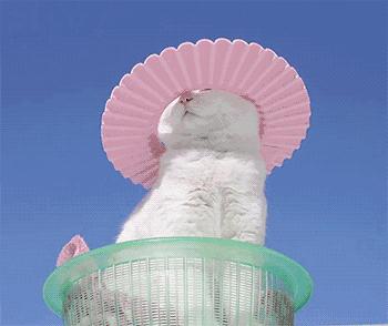 戴上它之后，感觉自己像个“移动空调间”，又凉爽还不怕晒