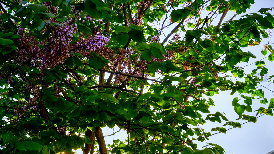 创维电视65g22pro好还是g32pro好,创维电视g22有什么功能