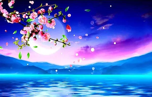 名家春江花月夜朗诵,春江花月夜教授讲解视频