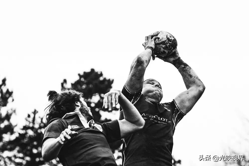 2022年度的ipa摄影大赛获奖作品,2020ippa摄影大赛奖项公布