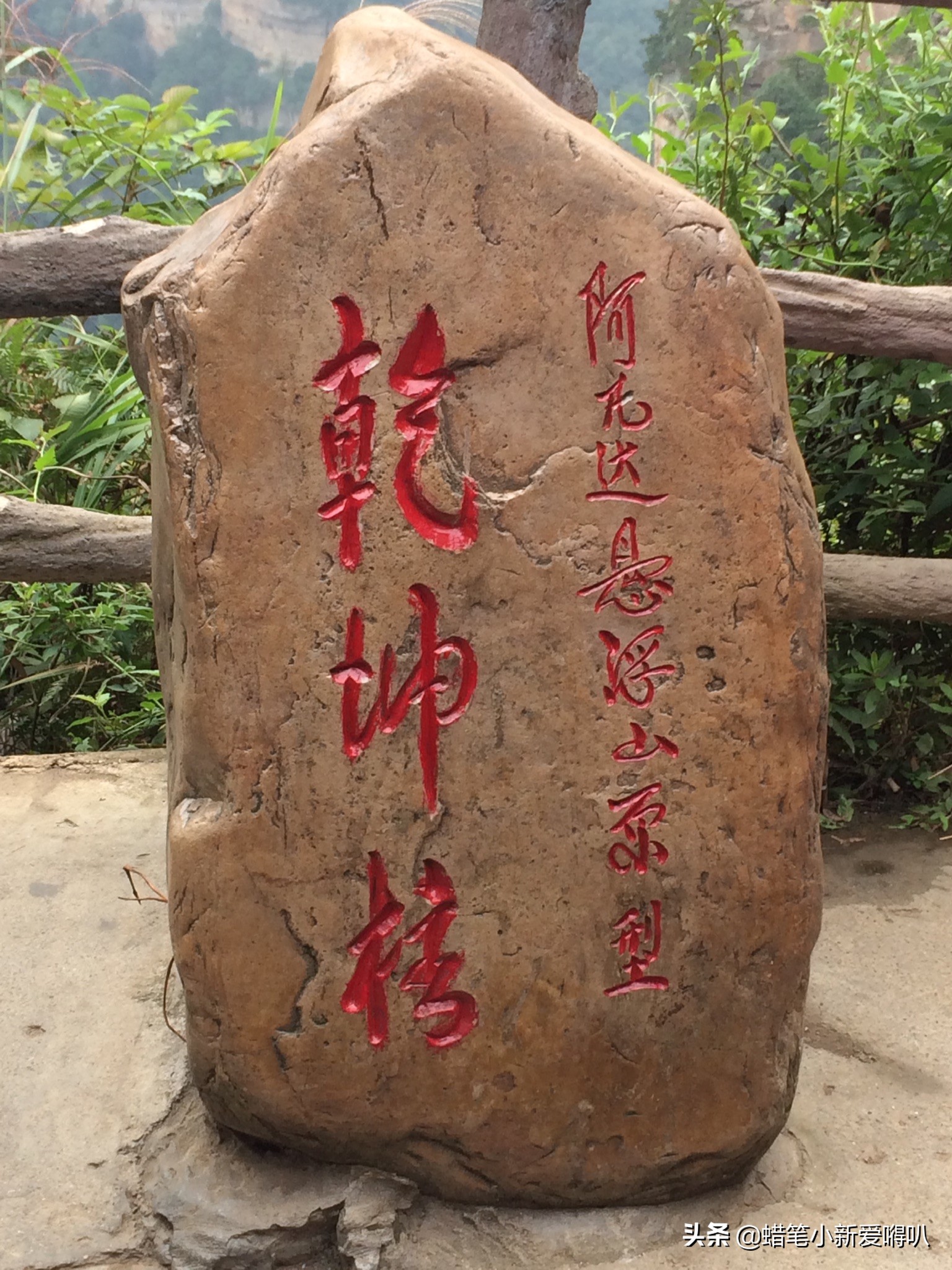 iphone5s为什么能成为一代神机,iphone5s测评全部