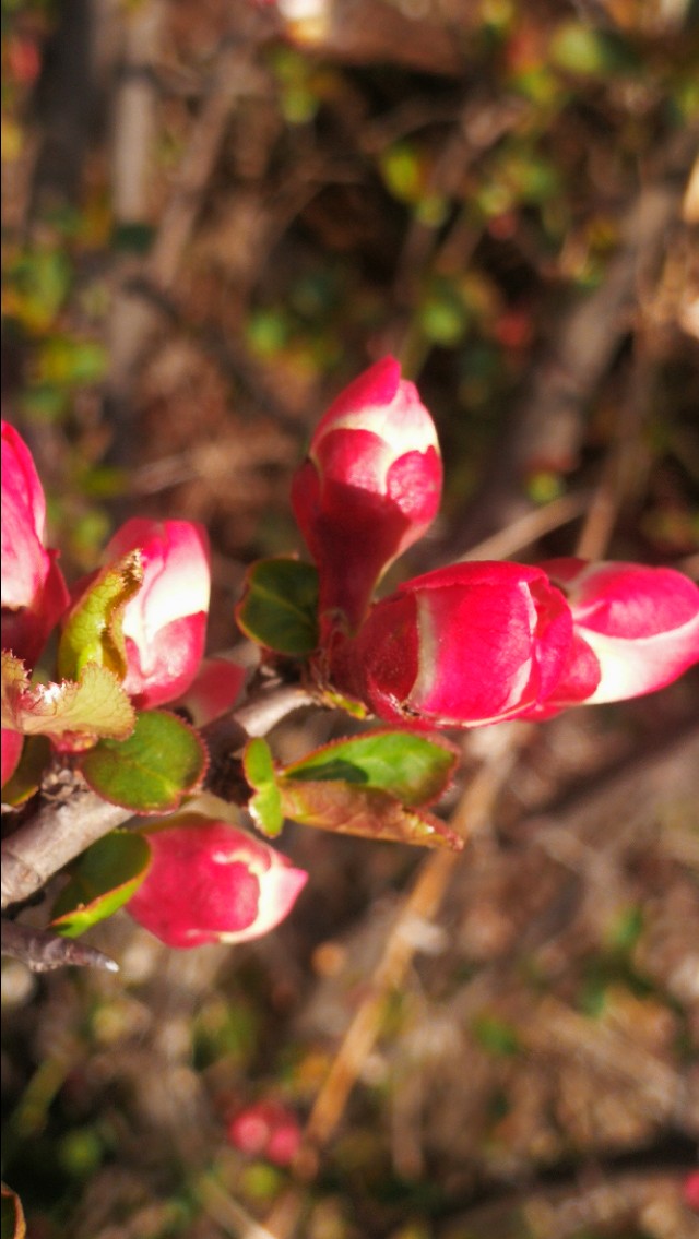 从道德经领悟先贤的大智慧,读懂了道德经也就读懂了人生