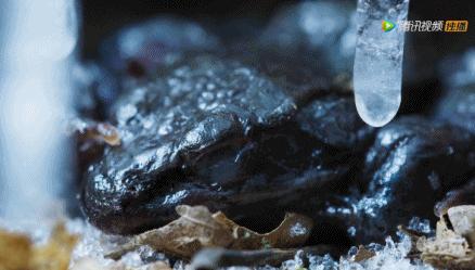 被吹爆的神片,被吹上天的神作