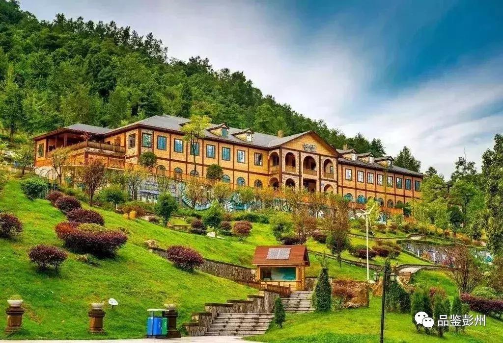 五朵金花组团出战,五朵金花齐聚的时候