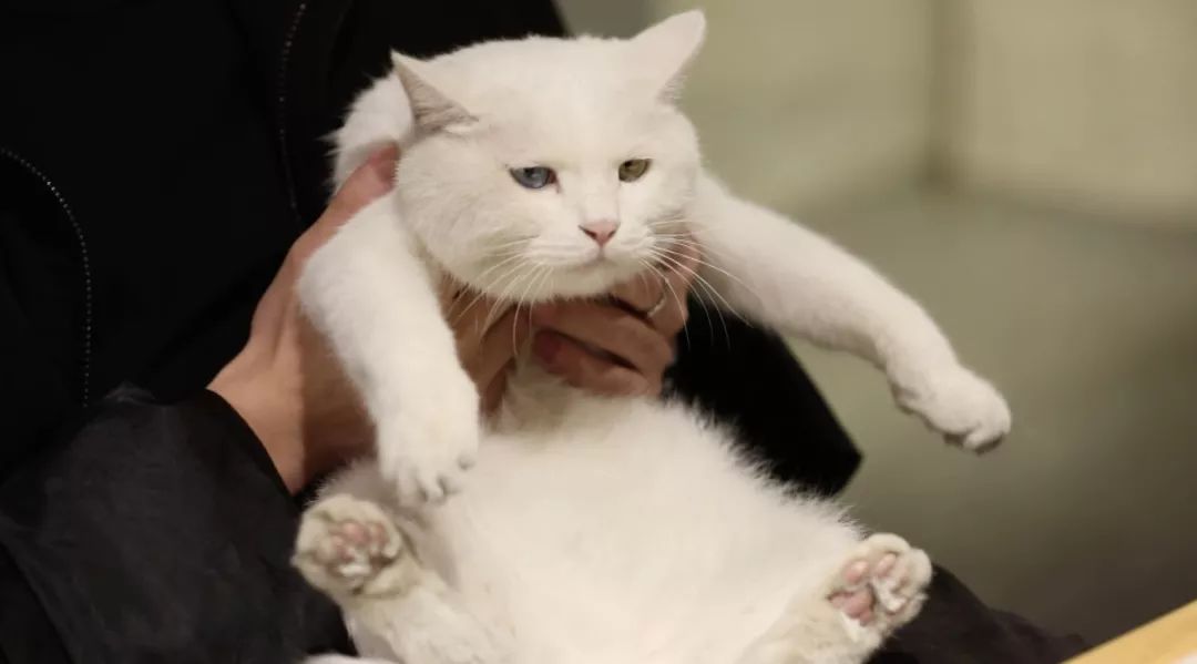 北京比较好的酒吧有哪些,北京最奢侈的顶级酒吧