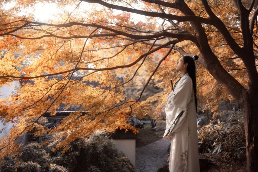 人生哲理诗词短句大全,20条人生哲理经典诗句太精辟了