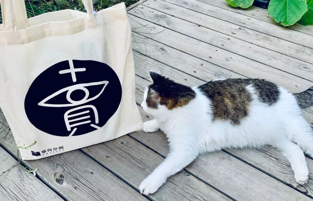 我在书店十年，终于要和你见面了|单向空间第二届“瞎买瞎卖”节