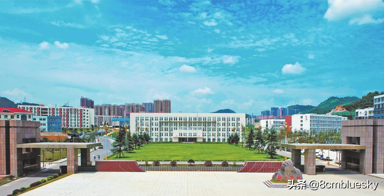 学医不代表什么都懂,学医不从医好吗