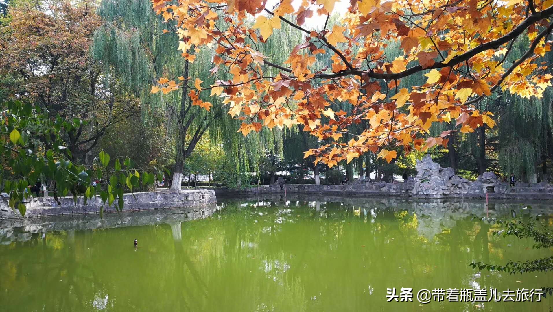 兰州一日游大学生,兰州大学榆中一日游