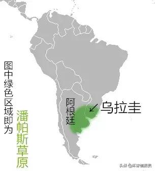 乌拉圭和阿根廷是什么关系,乌拉圭为何脱离阿根廷